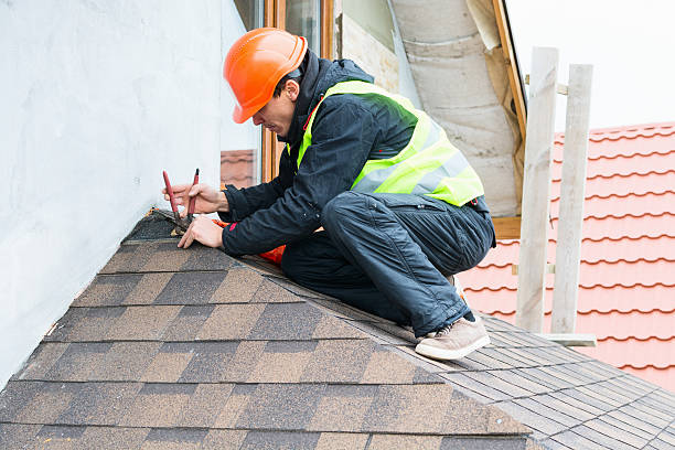 Roof Gutter Cleaning in Golden Triangle, NJ