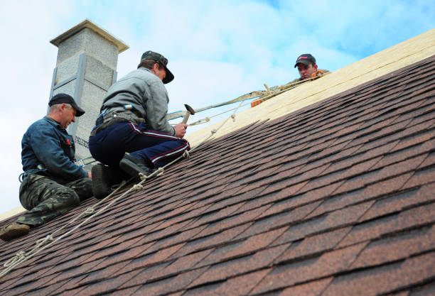 Best Roof Waterproofing Services  in Golden Triangle, NJ
